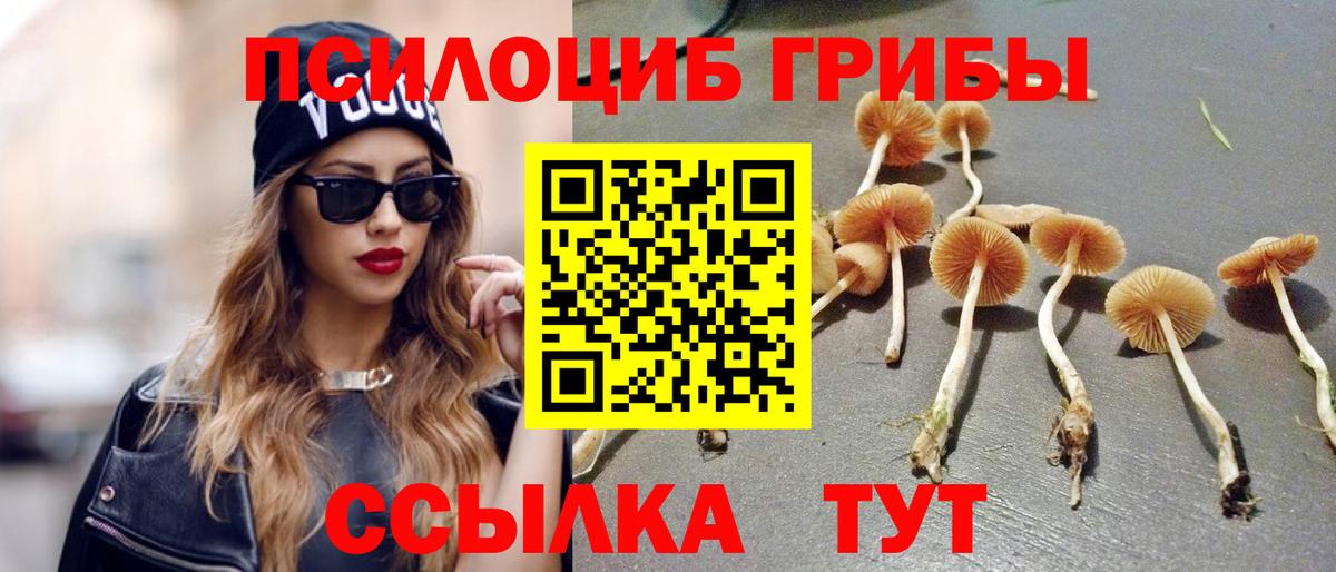Псилоцибиновые грибы мухоморы Спасск-Дальний