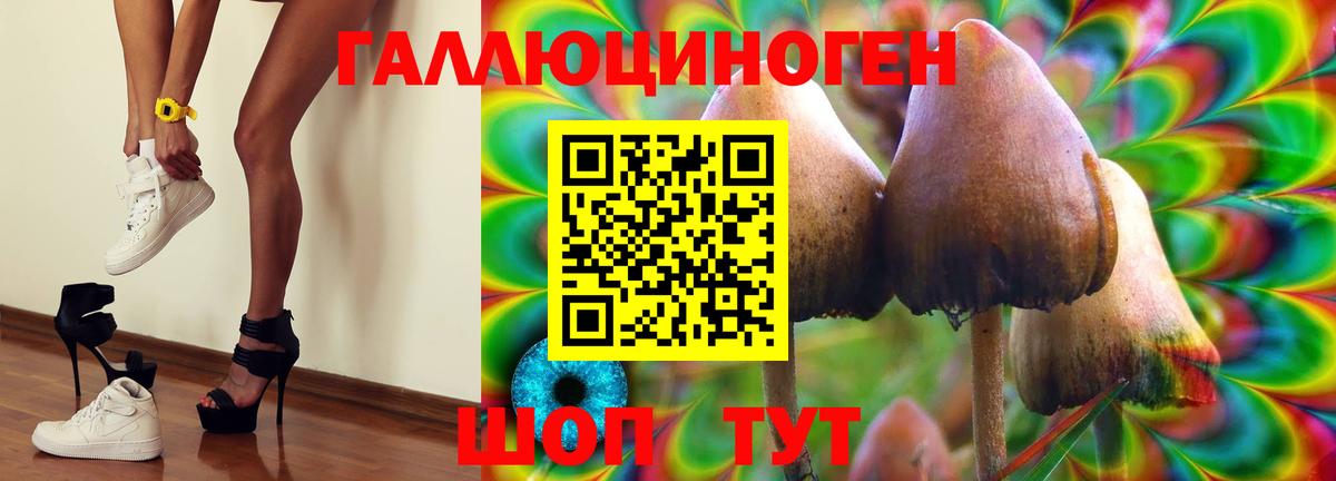 Галлюциногенные грибы мицелий  Псилоцибиновые грибы MAGIC MUSHROOMS  Спасск-Дальний  Вход с VPN 